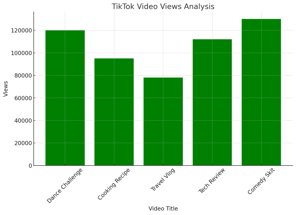Excel & TikTokで年2.9億円稼ぐ女性：TikTok分析アプリを開発しよう | PythonでTikTokのビデオのビュー数を分析